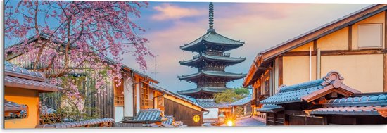 Dibond - Bloesemboom bij Boeddhistische Hōkan-ji Tempel in Kioto, Japan - 90x30 cm Foto op Aluminium (Met Ophangsysteem)