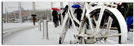 Dibond - Fiets Geparkeerd in Stad tijdens Sneeuwbui - 60x20 cm Foto op Aluminium (Wanddecoratie van metaal)