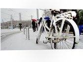 PVC Schuimplaat- Fiets Geparkeerd in Stad tijdens Sneeuwbui - 100x50 cm Foto op PVC Schuimplaat