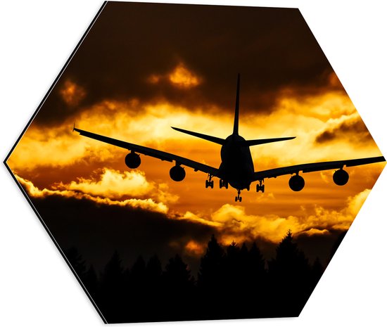 Dibond Hexagon - Silhouet van Passagiersvliegtuig boven de Bomen tijdens Zonsondergang - 50x43.5 cm Foto op Hexagon (Met Ophangsysteem)