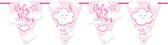 Folat - Vlaggenlijn Baby Shower Roze (6 meter)