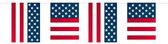 Folat - Vlaggenlijn USA Party Vierkant - (10 meter)