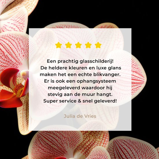MuchoWow® Glasschilderij 60x120 cm - Schilderij acrylglas - Bloemen - Orchidee - Roze - Botanisch - Natuur - Foto op glas - Schilderijen