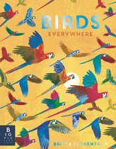 Animals Everywhere- Birds Everywhere