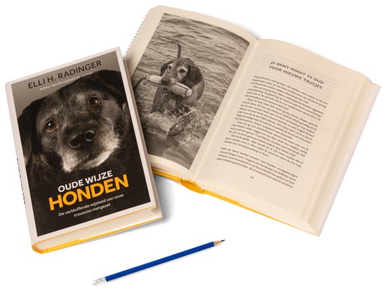 Oude wijze honden