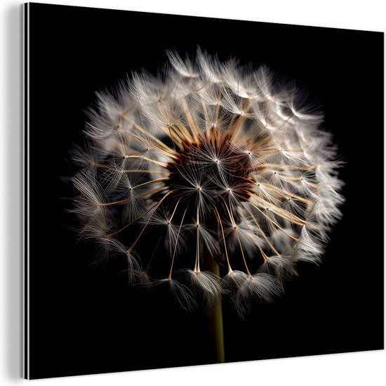 Décoration murale Métal - Peinture Aluminium Industriel - Fleurs - Nature - Pissenlit - Zwart - Portrait - 40x30 cm - Dibond - Photo sur aluminium - Décoration murale industrielle - Pour le salon/chambre