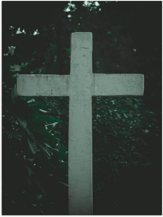 Poster (Mat) - Wit Kruis tussen de Donkergroene Struiken - 30x40 cm Foto op Posterpapier met een Matte look