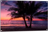 Tuinposter – Twee Palmbomen op het Strand langs de Zee bij Zonsondergang - 105x70 cm Foto op Tuinposter (wanddecoratie voor buiten en binnen)