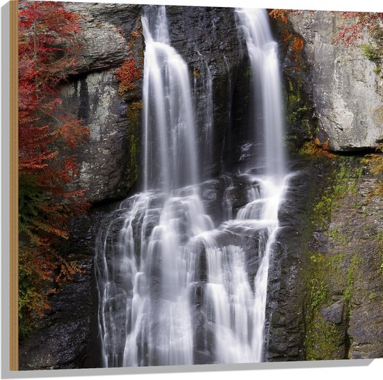 Hout - Berg - Waterval - Water - Bomen - 80x80 cm - 9 mm dik - Foto op Hout (Met Ophangsysteem)