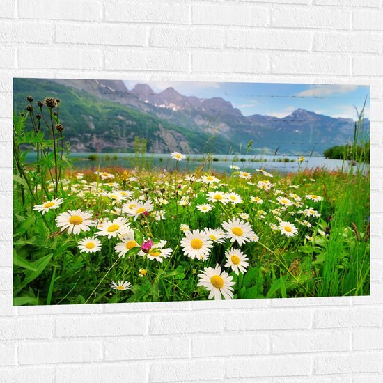 Muursticker - Bergen - Bloemen - Wit - Gras - Water - Natuur - 105x70 cm Foto op Muursticker