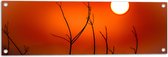 Tuinposter – Takken - Natuur - Zon - Rood - 90x30 cm Foto op Tuinposter (wanddecoratie voor buiten en binnen)