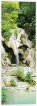 Acrylglas - Beekje - Water - Waterval - Bomen - Planten - Kleuren - Natuur - 20x60 cm Foto op Acrylglas (Wanddecoratie op Acrylaat)