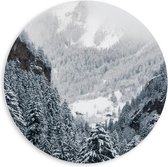 PVC Schuimplaat Muurcirkel - Bergen - Bomen - Sneeuw - Bossen - 60x60 cm Foto op Muurcirkel (met ophangsysteem)