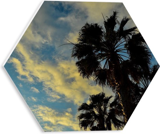 PVC Schuimplaat Hexagon - Tropische Palmbomen onder Blauwe Lucht Vol Schapenwolken - 30x26.1 cm Foto op Hexagon (Met Ophangsysteem)