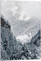 Tuinposter – Bergen - Bomen - Sneeuw - Bossen - 70x105 cm Foto op Tuinposter (wanddecoratie voor buiten en binnen)