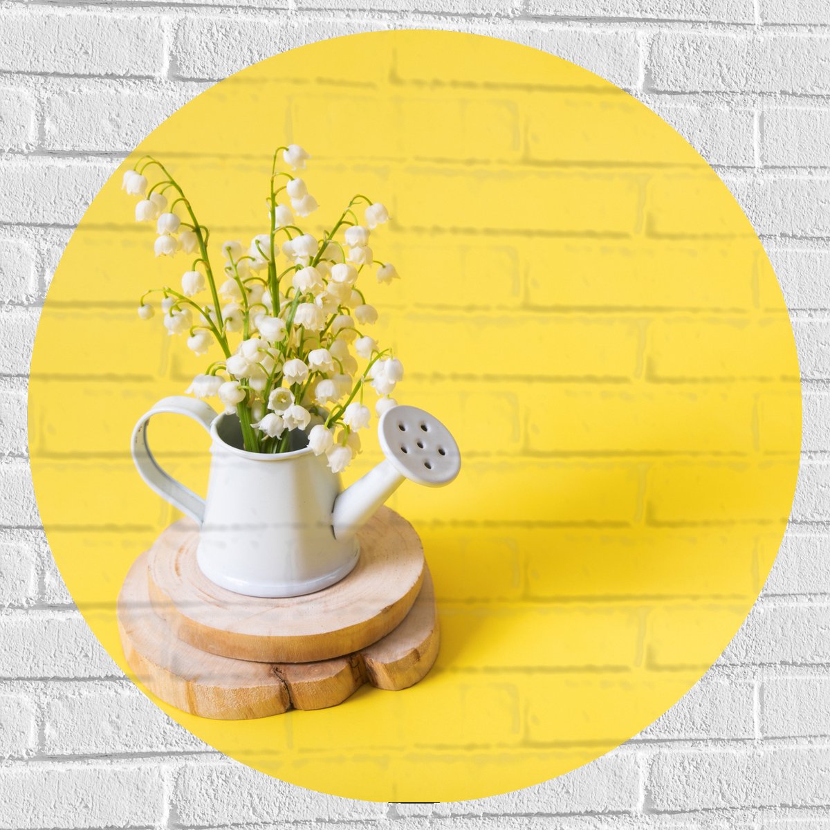 Muursticker Cirkel - Boeket in Gieter met Gele Achtergrond - 80x80 cm Foto op Muursticker
