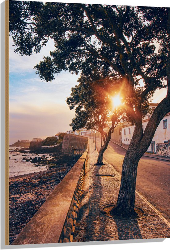 Hout - Straat - Zee - Water - Stenen - Bomen - Huizen - Zon - 70x105 cm - 9 mm dik - Foto op Hout (Met Ophangsysteem)