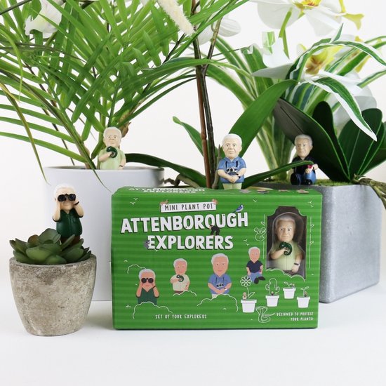 Gift Republic Mini pot de fleurs Attenborough Explorers