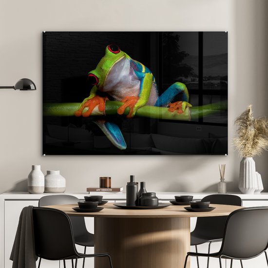 Peinture sur verre - Grenouille - Animaux - Vert - Oranje - Rouge - Photo sur verre - Peinture sur verre - 90x60 cm - Décoration murale