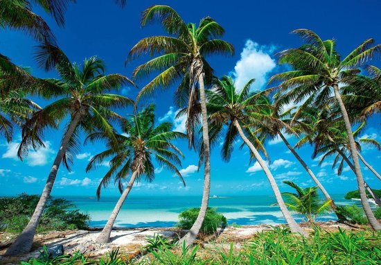 Fotobehang - Vinyl Behang - Tropische Palmbomen bij het Strand en Zee - 416 x 254 cm