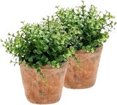 2x Kunstplant eucalyptus groen in pot 20 cm - Kamerplant groene eucalyptus