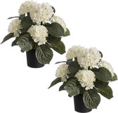 Set van 2x stuks witte hortensia kunstplanten in zwarte kunststof pot 44 cm - Hydrangea - Woondecoratie