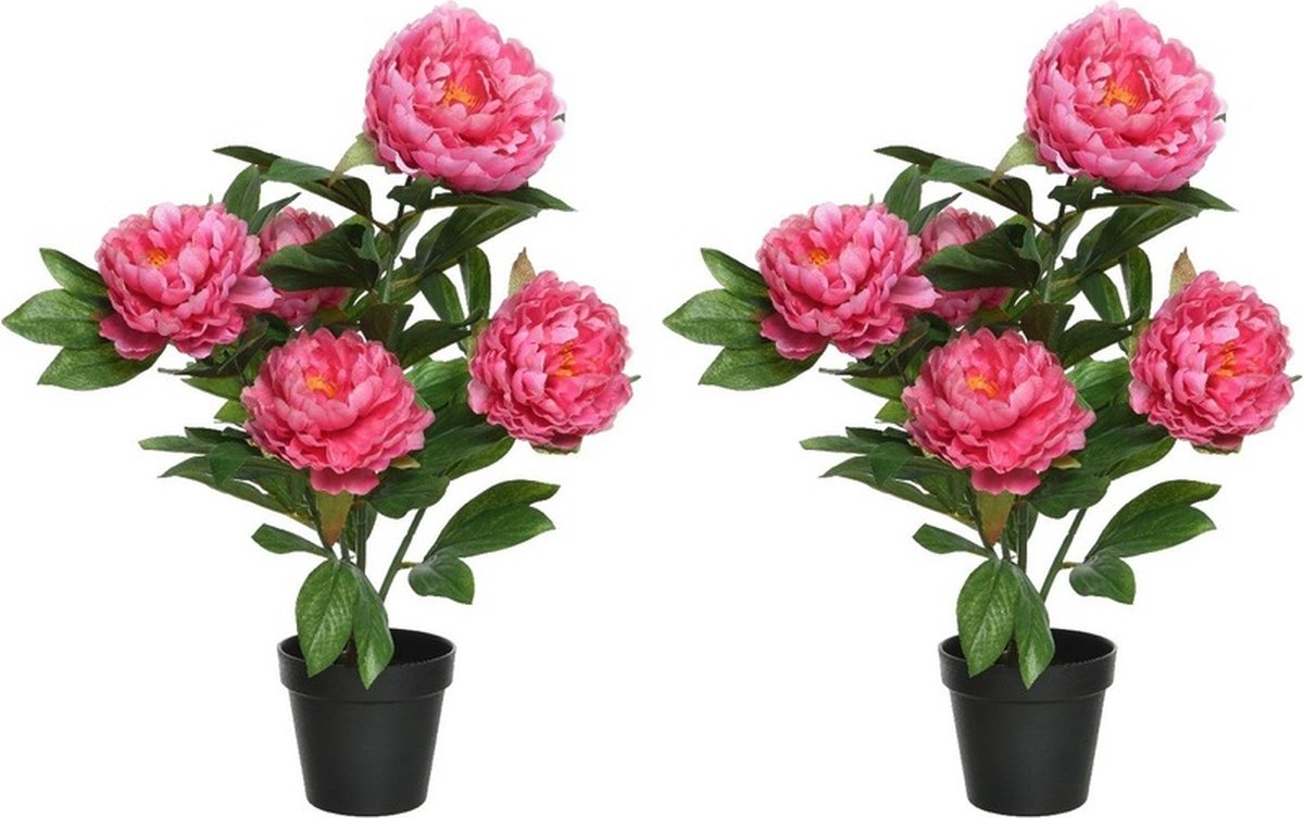 2x Roze Paeonia/pioenroos rozenstruik kunstplanten 57 cm in zwarte plastic pot - Kunstplanten/nepplanten - Pioenrozen