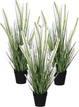 3x morceaux de Dogtail vert / herbe ornementale plante artificielle 53 cm en pot noir - Plantes artificielles/ fausses plantes