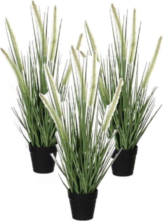 3x stuks groene Dogtail/siergras kunstplant 53 cm in zwarte pot - Kunstplanten/nepplanten