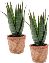Set van 2x stuks Aloe Vera kunstplant in terracotta pot 23 cm - Aloe Barbadensis - Woondecoratie/accessoires - Kunstplanten - Nepplanten - Aloe vera planten in pot