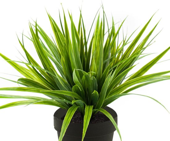 Herbe arbuste plante artificielle en pot plastique 33 cm - Décoration /  accessoires... | bol