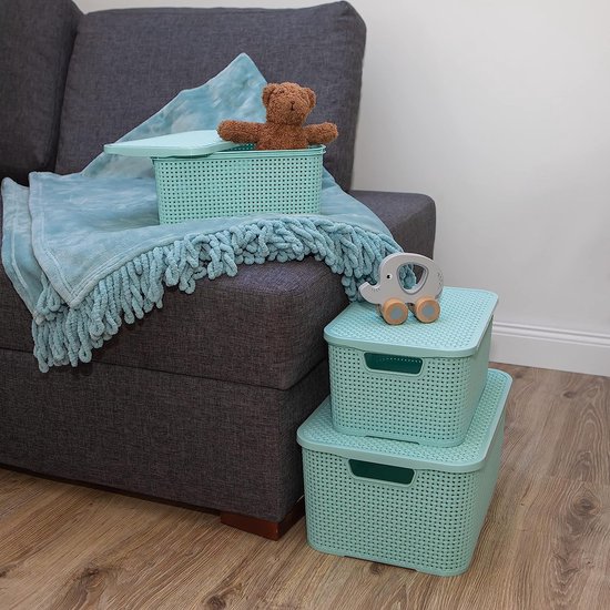 BranQ - Home essential Set van 2 mandjes met deksel in rotan design, maat S 7 L, BPA-vrij, PP-plastic, lichtgrijs, 28,5 x 19,5 x 12,9 cm, 2 stuks, S