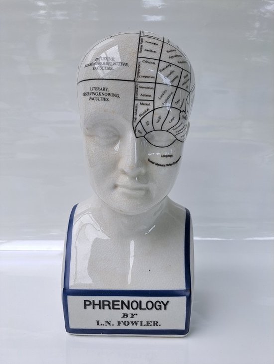 Porseleinen - Phrenology PV74200 hoofd - hoogte 30 cm - neuroloog - hersenen met gezicht en engelse tekst - Frenologie