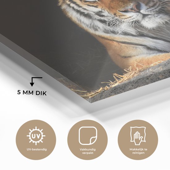 MuchoWow® Peinture sur verre 180x120 cm - Peinture sur verre acrylique - Tigre - Paille - Ombre - Photo sur verre - Peintures