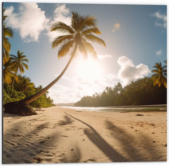 Dibond - Palmbomen in het Zonlicht hangend over het Strand - 50x50 cm Foto op Aluminium (Wanddecoratie van metaal)