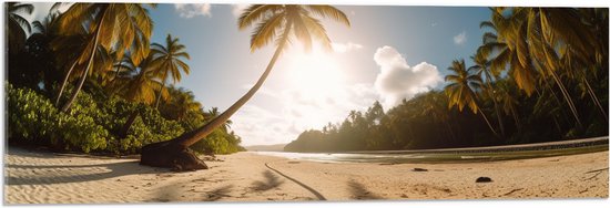 Acrylglas - Palmbomen in het Zonlicht hangend over het Strand - 90x30 cm Foto op Acrylglas (Wanddecoratie op Acrylaat)