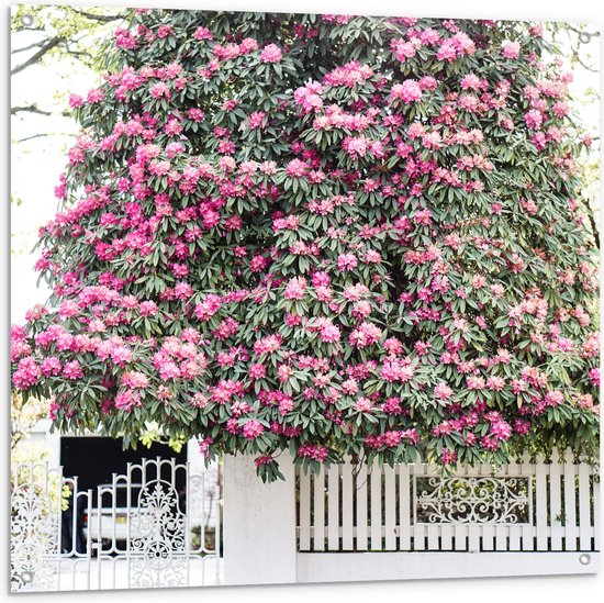 Tuinposter – Bomen - Bloemen - Planten - Roze - Poort - Auto - Muur - 100x100 cm Foto op Tuinposter (wanddecoratie voor buiten en binnen)