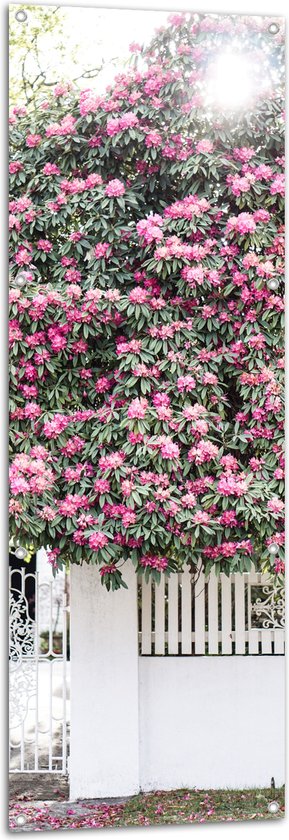 Tuinposter – Bomen - Bloemen - Planten - Roze - Poort - Auto - Muur - 50x150 cm Foto op Tuinposter (wanddecoratie voor buiten en binnen)