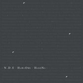 Haruomi Hosono - N.D.E. (2 LP)