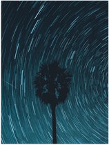 Poster (Mat) - Boom - Lucht - Blauw - 60x80 cm Foto op Posterpapier met een Matte look