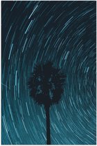 Poster (Mat) - Boom - Lucht - Blauw - 80x120 cm Foto op Posterpapier met een Matte look