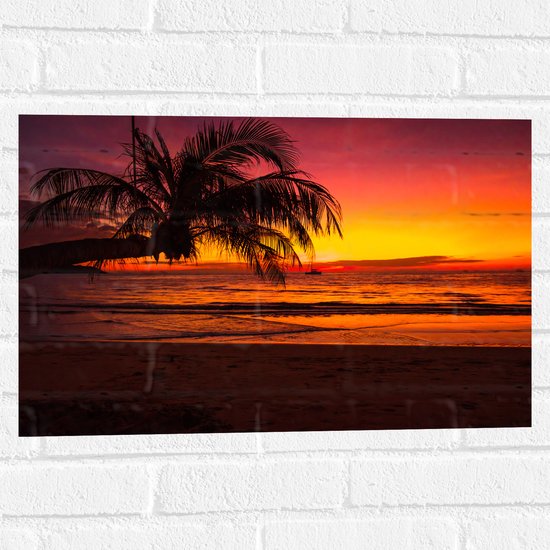 Muursticker - Silhouet van Palmboom Hangend over het Strand tijdens Rozekleurige Zonsondergang - 60x40 cm Foto op Muursticker