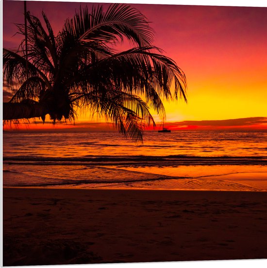 PVC Schuimplaat - Silhouet van Palmboom Hangend over het Strand tijdens Rozekleurige Zonsondergang - 80x80 cm Foto op PVC Schuimplaat (Met Ophangsysteem)