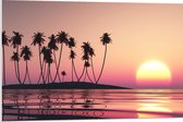 PVC Schuimplaat- Silhouet van Bomen op Eiland bij Ondergaande Zon - 90x60 cm Foto op PVC Schuimplaat
