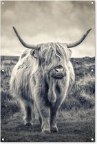 Affiche jardin - Toile Posters de jardin extérieur - Highlander écossais - Animaux - Nuages - Vache - Nature - 80x120 cm - Jardin