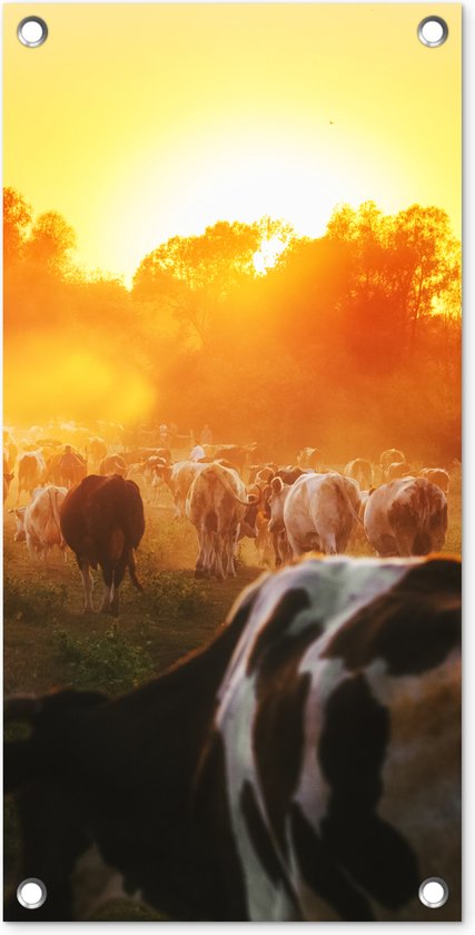 Affiche de jardin Vaches - Coucher de soleil - Pâturage - Animaux - 30x60 cm - Toile jardin - Affiche extérieure