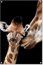 Tuinposters buiten Giraffe - Dieren - Zwart - Portret - Dieren - 60x90 cm - Tuindoek - Buitenposter