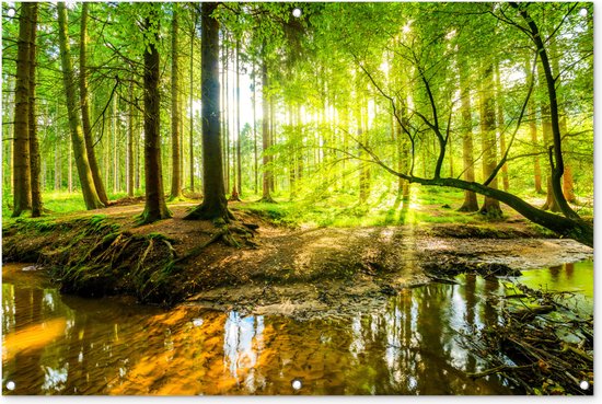 Tuinposter - Tuindoek - Tuinposters buiten - Bos - Landschap - Water - Bomen - Zon - Groen - Natuur - 120x80 cm - Tuin