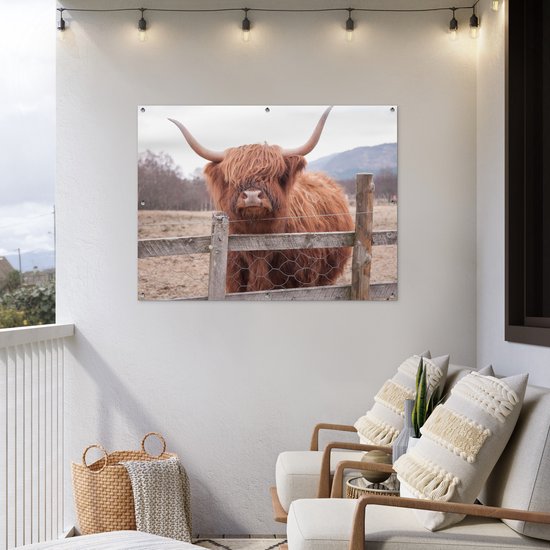 Affiche de jardin - Toile de jardin - Posters de jardin extérieur - Highlander écossais - Herbe - Clôture - 120x90 cm - Jardin