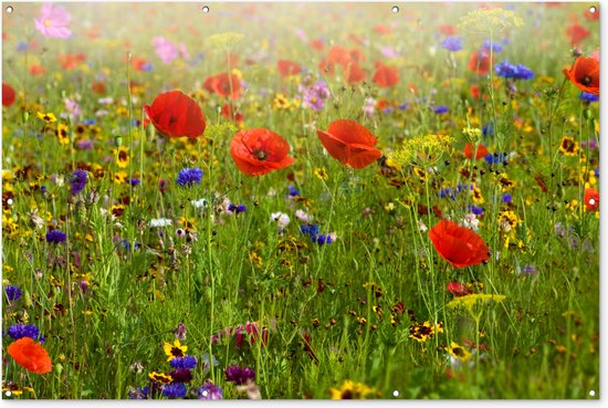 Poster jardin Printemps - Fleurs - Rouge - Coquelicot - Herbe - Vert - 190x120 cm - Décoration murale Extérieur - Poster jardin - Toile jardin - Poster clôture - Tableau jardin